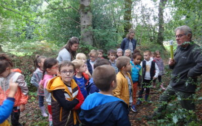 Sortie Ecole du dehors